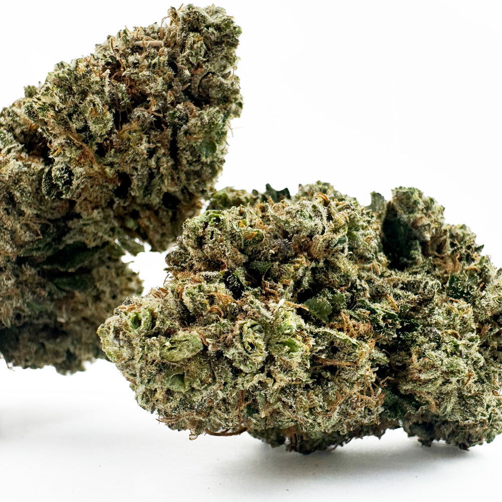 Guava Kush CBD – pěstování v interiéru — foto 2