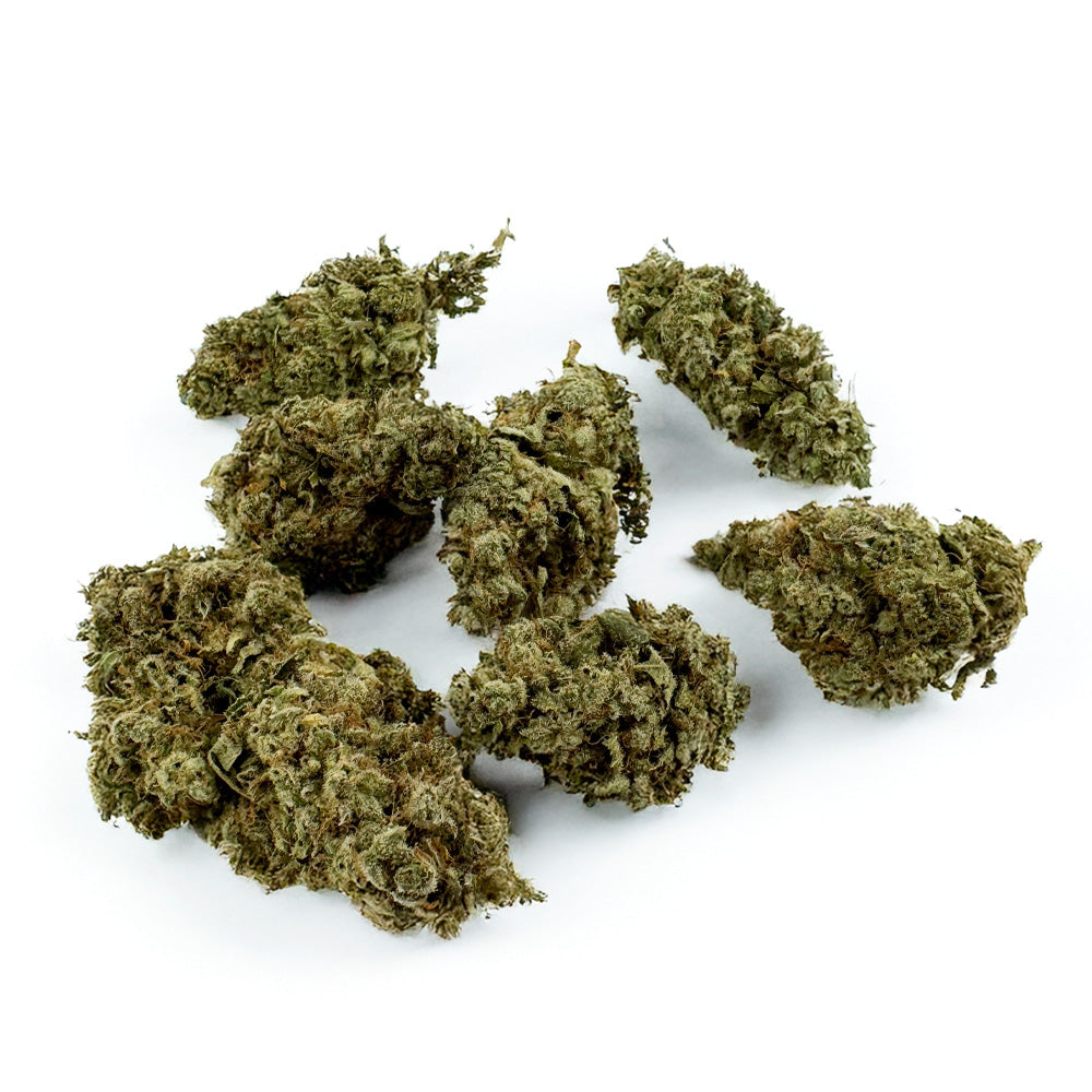 Gushers CBD - Interior