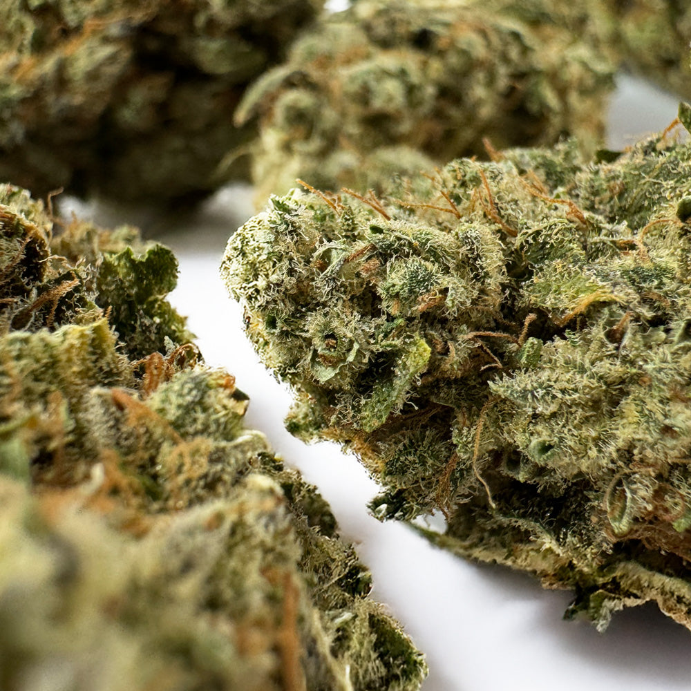 Gushers CBD - Indoor