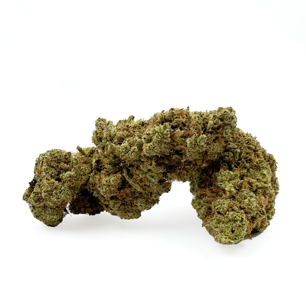 Gushers CBD – uprawa pod dachem — zdjęcie 1