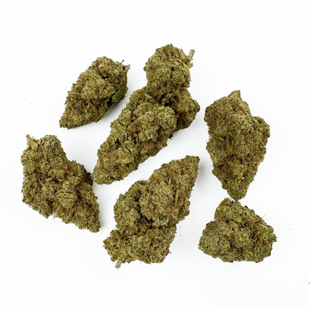 Gushers CBD – uprawa w pomieszczeniu — zdjęcie 3