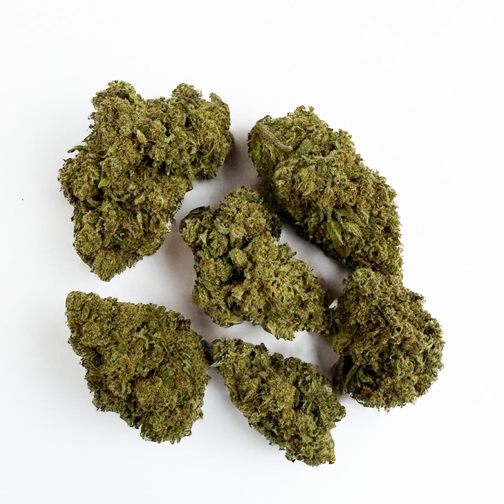 Sample Pack - Affordable Flowers - Glasshouse & Greenhouse - 7 x 3g