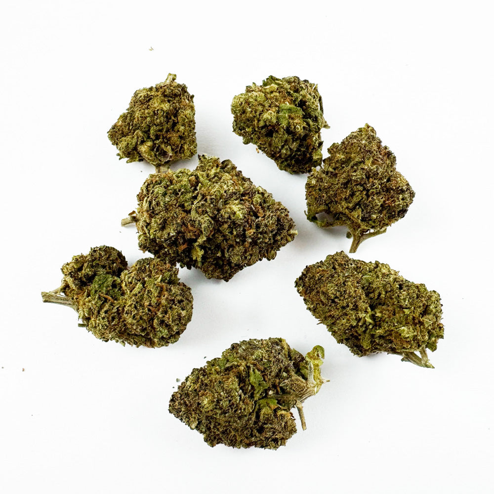 Středně velké palice Haze Berry – pěstované v interiéru