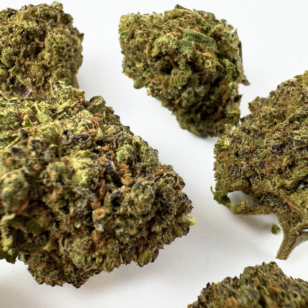 Středně velké palice Haze Berry – pěstované v interiéru
