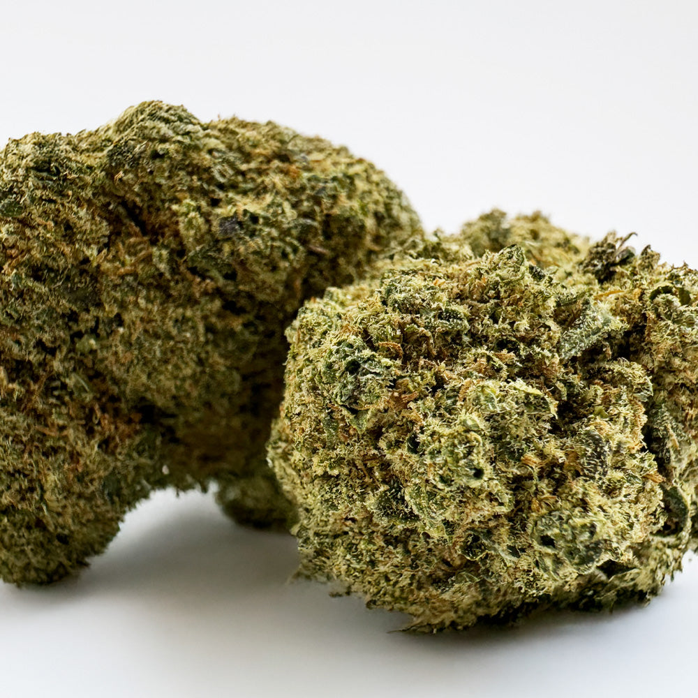 Ice Cream Cake CBD - Hydroponisch Cali