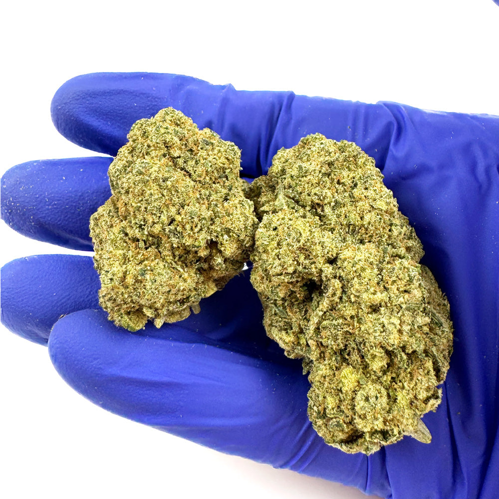 Ice Cream Cake CBD - Hydroponisch Cali