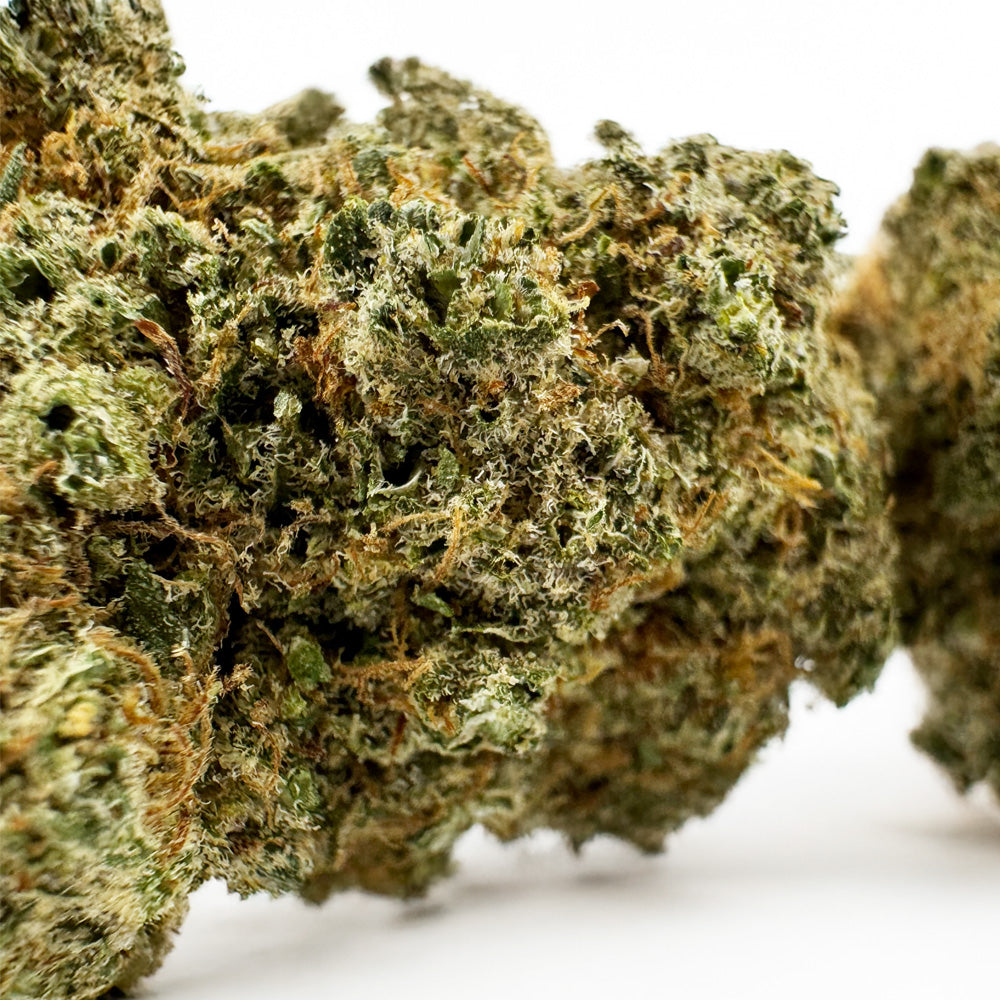 Limon Cali CBD - Hydroponisch Cali