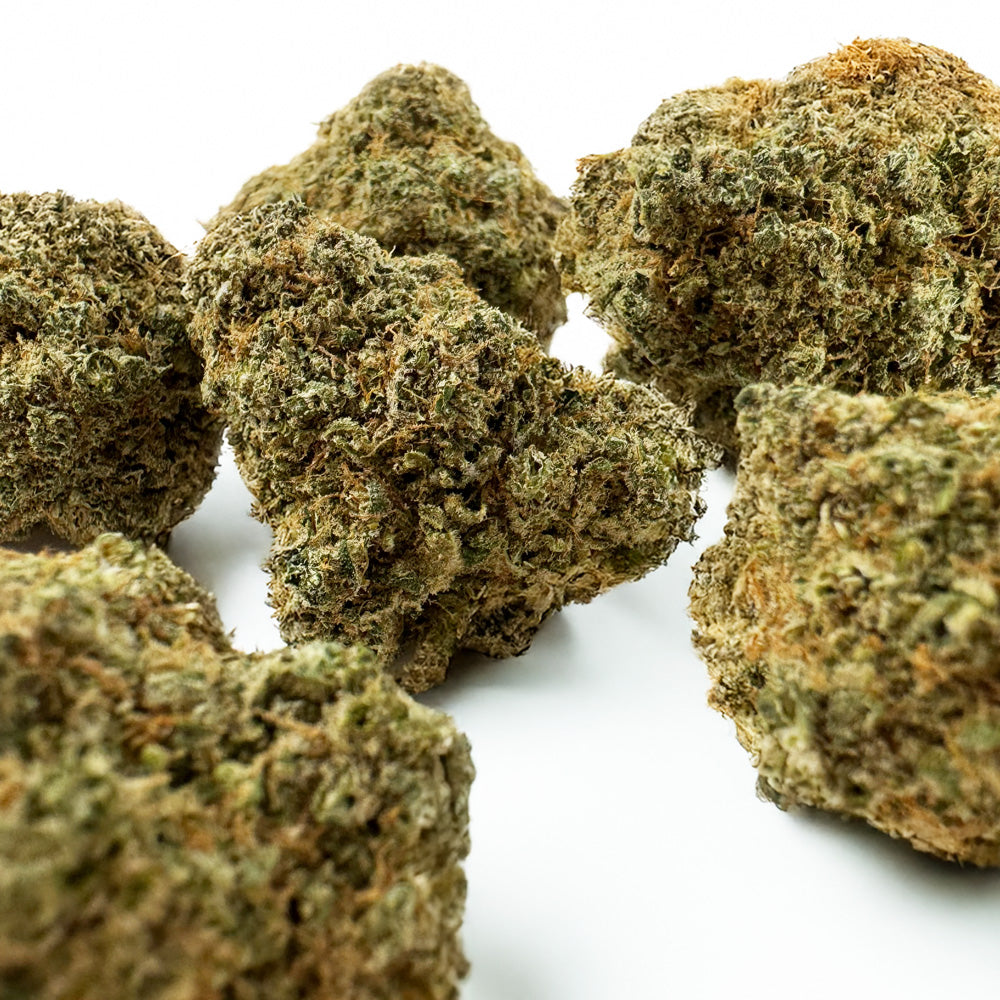 Limon Cali CBD - Hydroponisch Cali