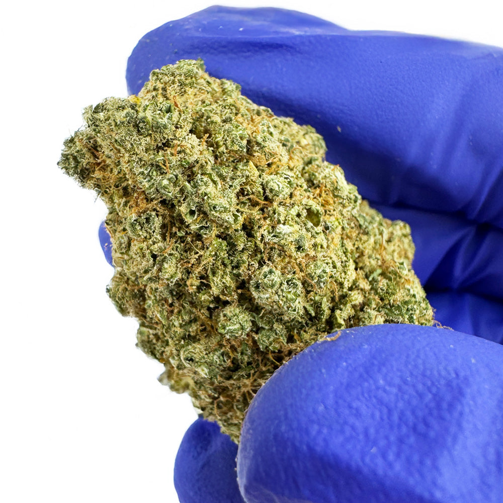 Limón Cali CBD - Hidropónico Cali