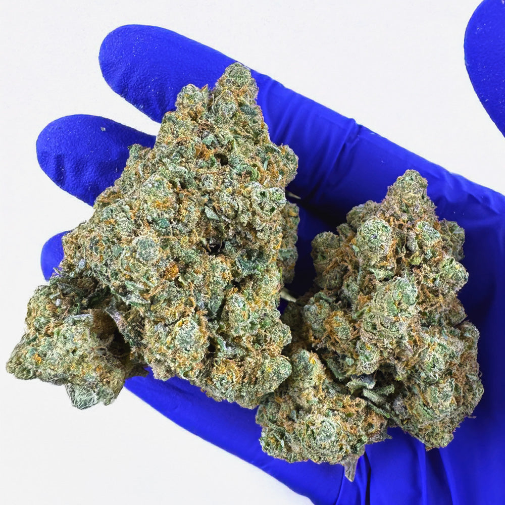 Lemon Haze HT CBD - Interior