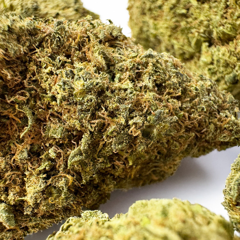 MAC CBD - Hydroponisch Cali