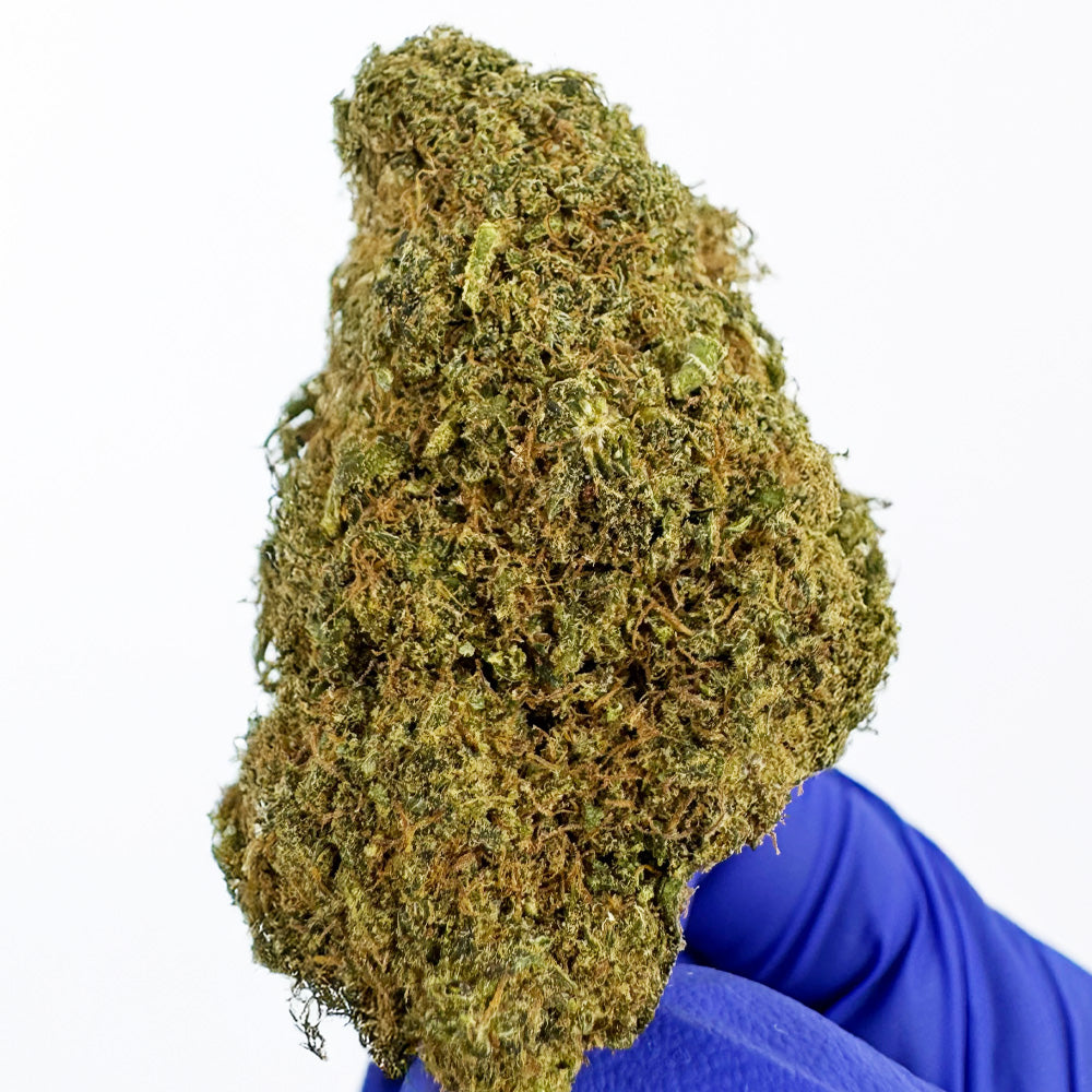 MAC CBD - Hidropónico Cali