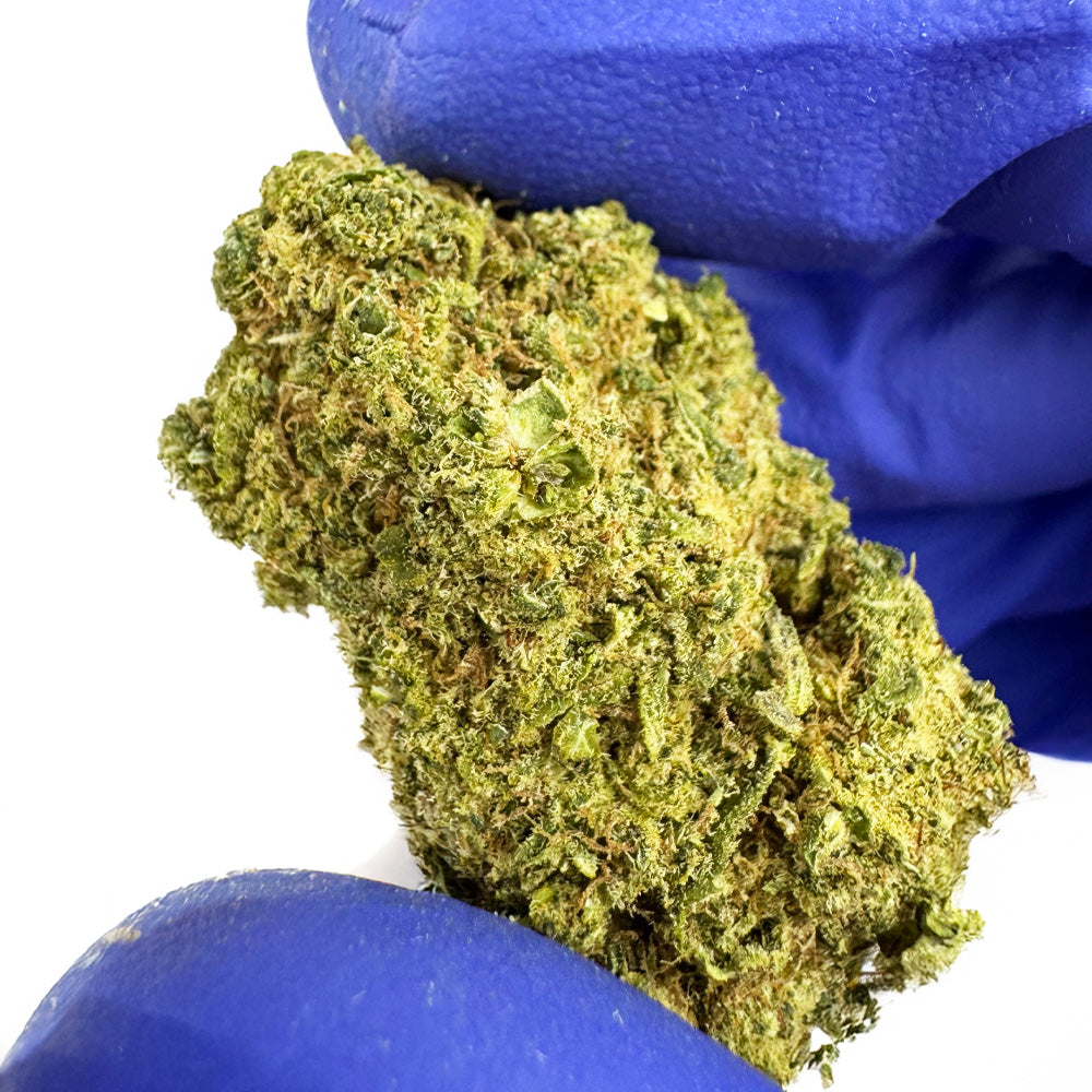 MAC CBD - Hidropónico Cali