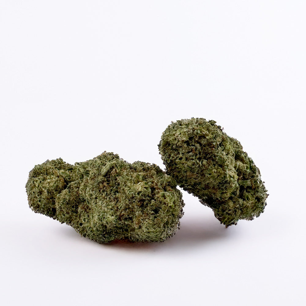 Malabar CBD - Interior