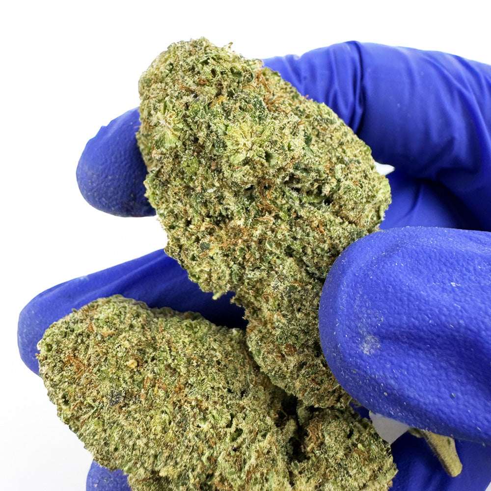 Malabar CBD - Interior