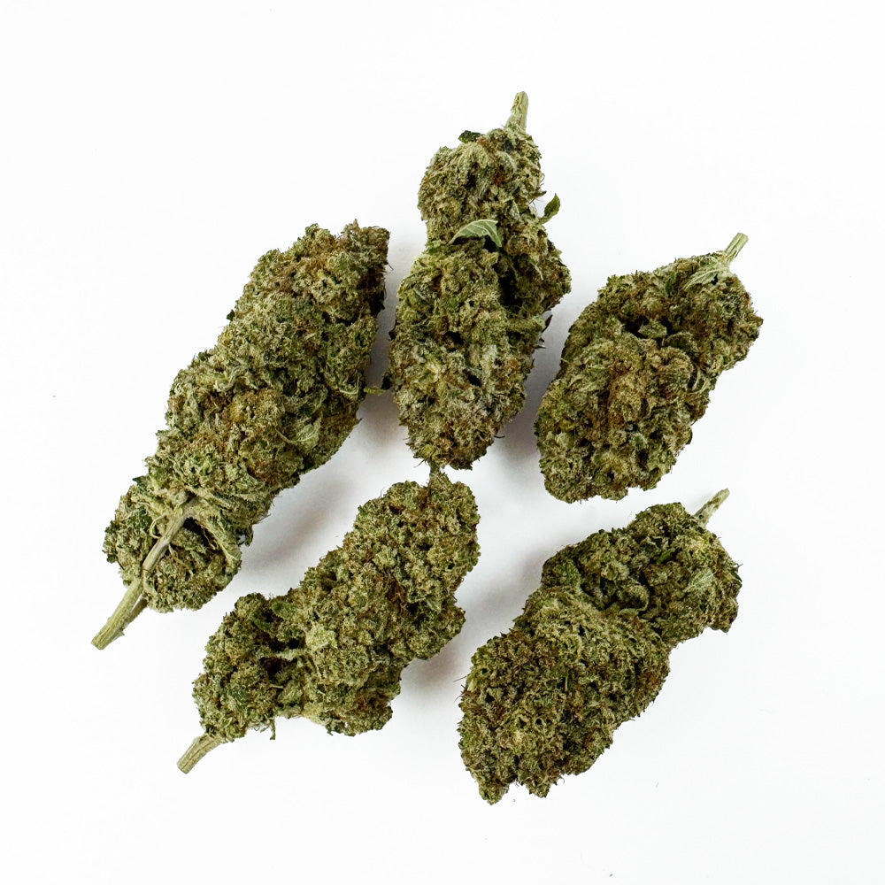 Malabar #B2 CBD - Interior