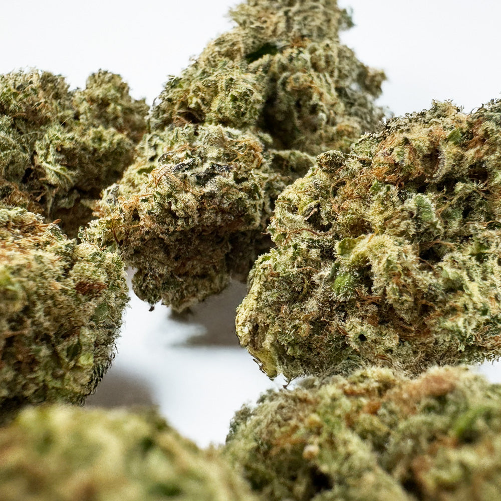 Malabar #B2 CBD - Interior