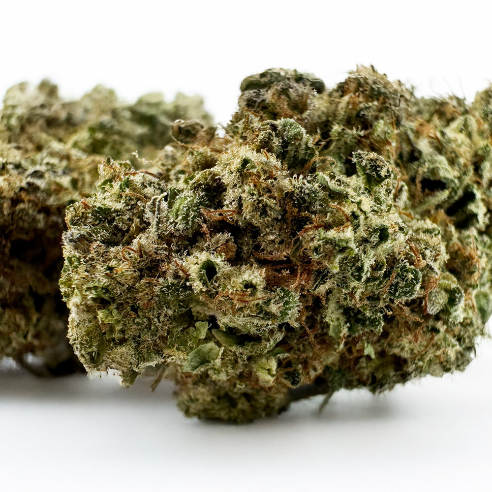 Malabar #B2 CBD - Interior