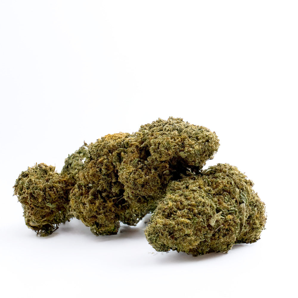 Orange Bud – Indoor
