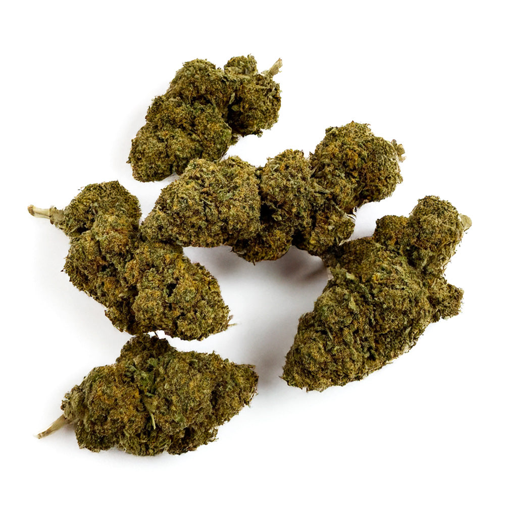 Orange Bud – Indoor