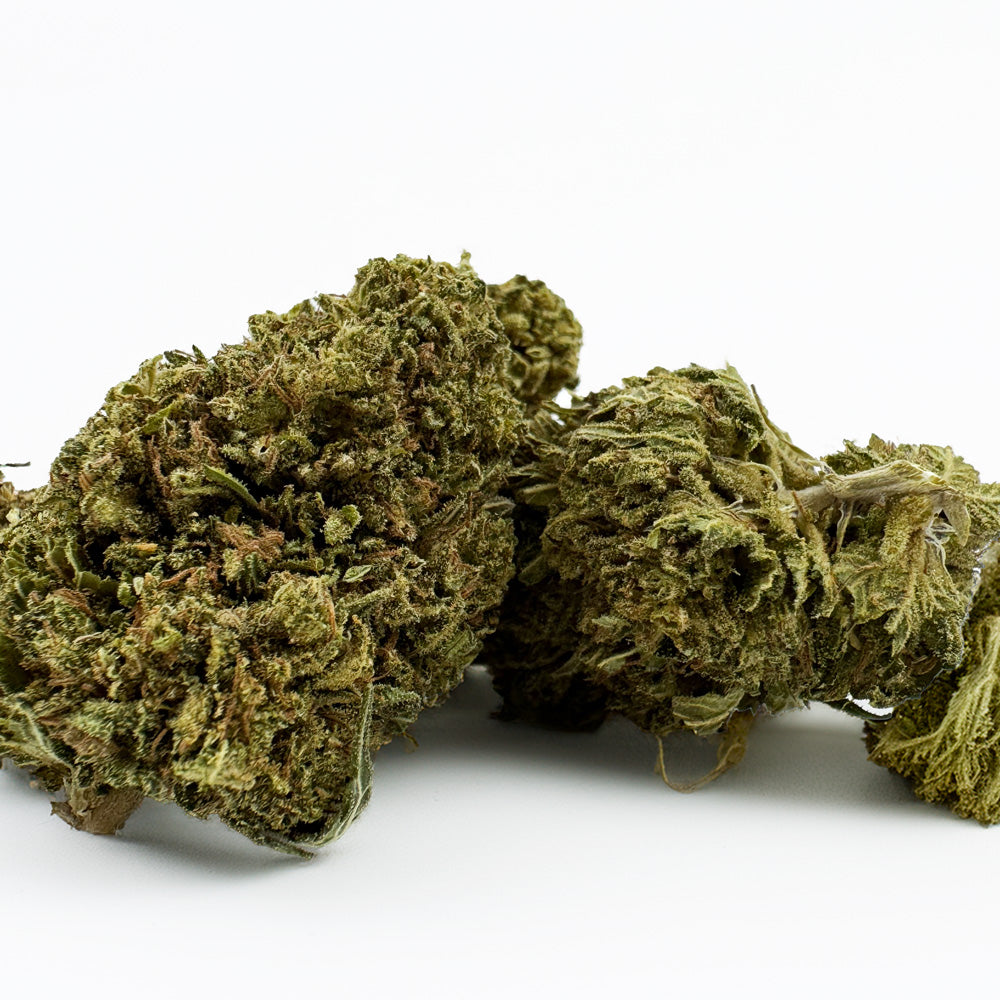 Passion Kush - Híbrido de EE. UU.