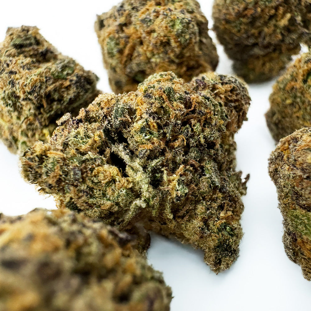 Středně velké palice Purple Gaz – pěstované v interiéru