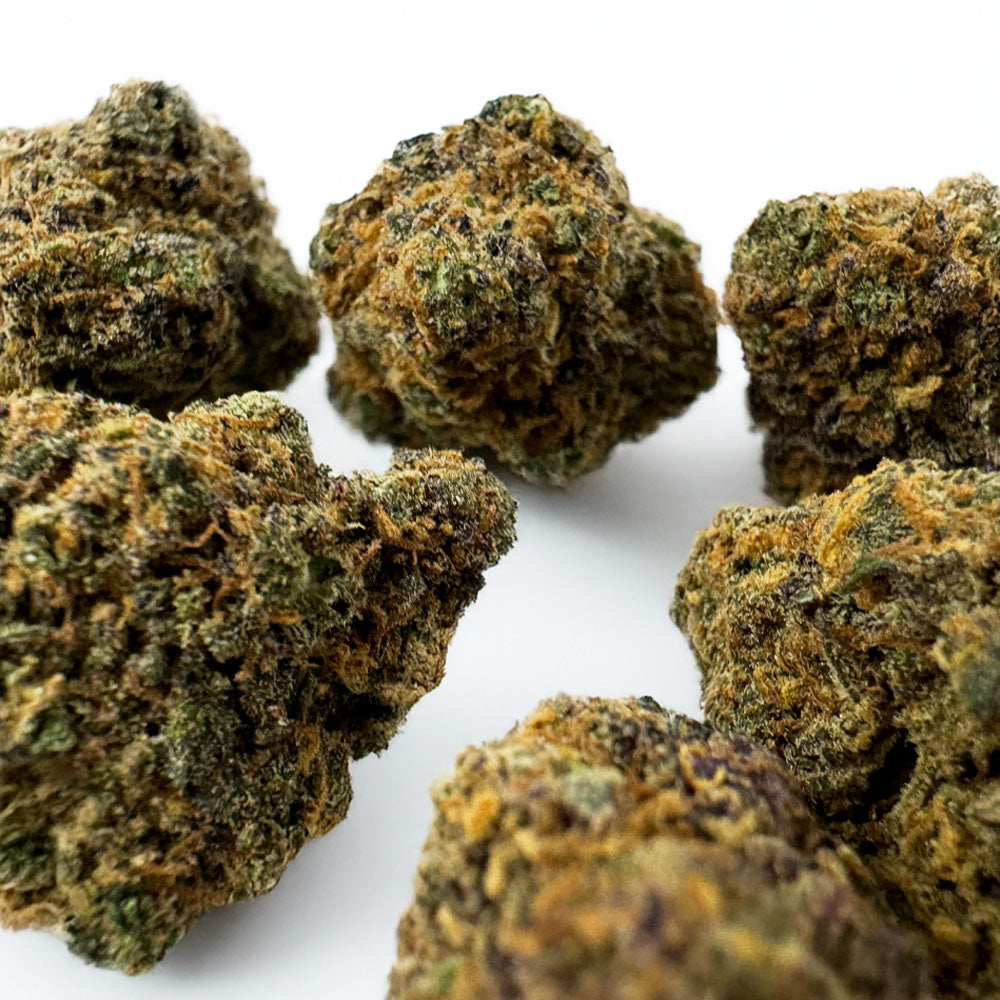 Středně velké palice Purple Gaz – pěstované v interiéru