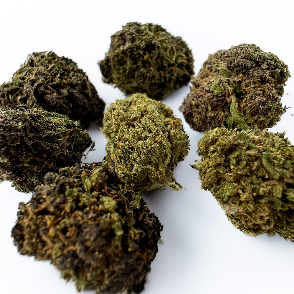 Malé palice Purple Snowman – hybrid