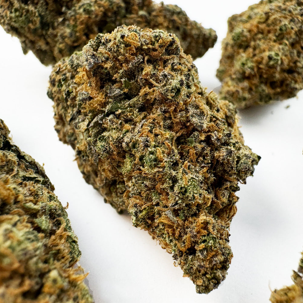Purple Gaz CBD – uprawa w pomieszczeniu — zdjęcie 3