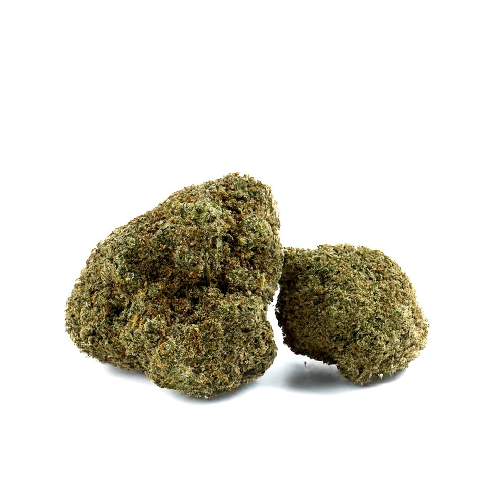 Rainbow X GP3 CBD - Interior