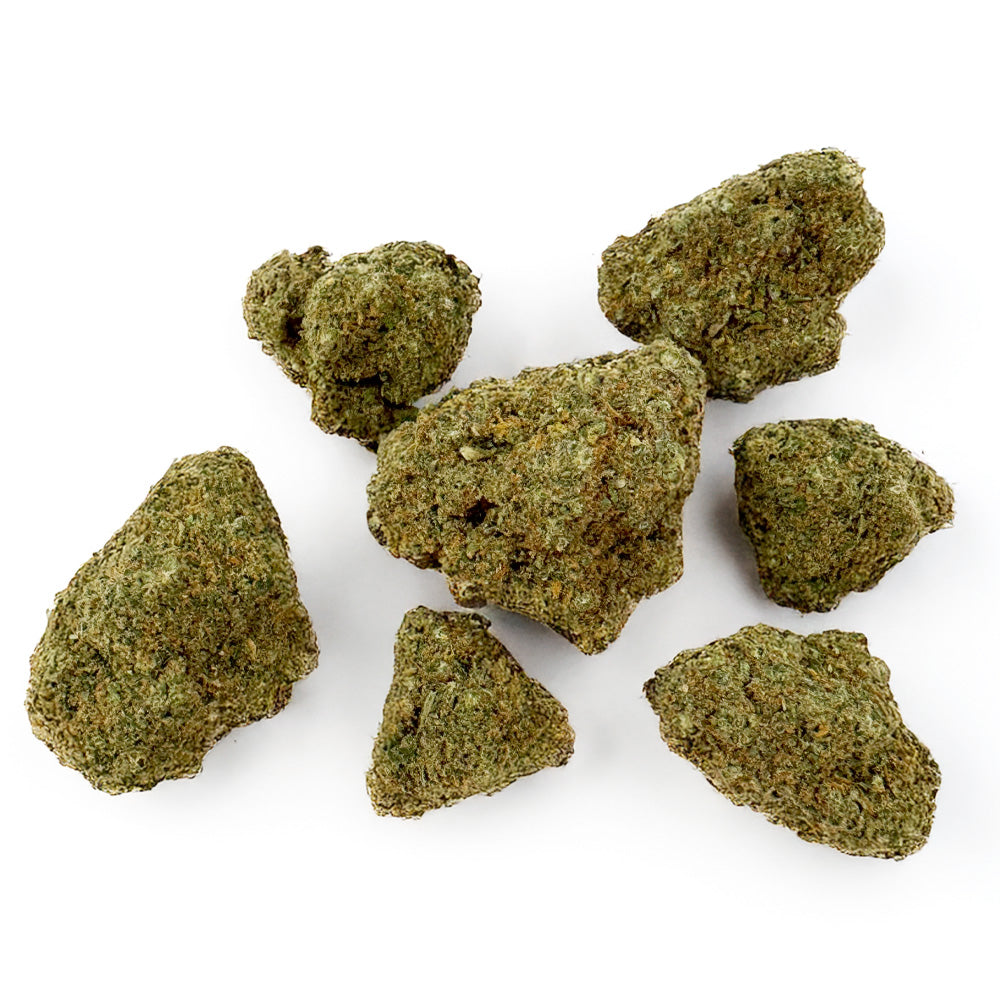 Rainbow X GP3 CBD - Interior