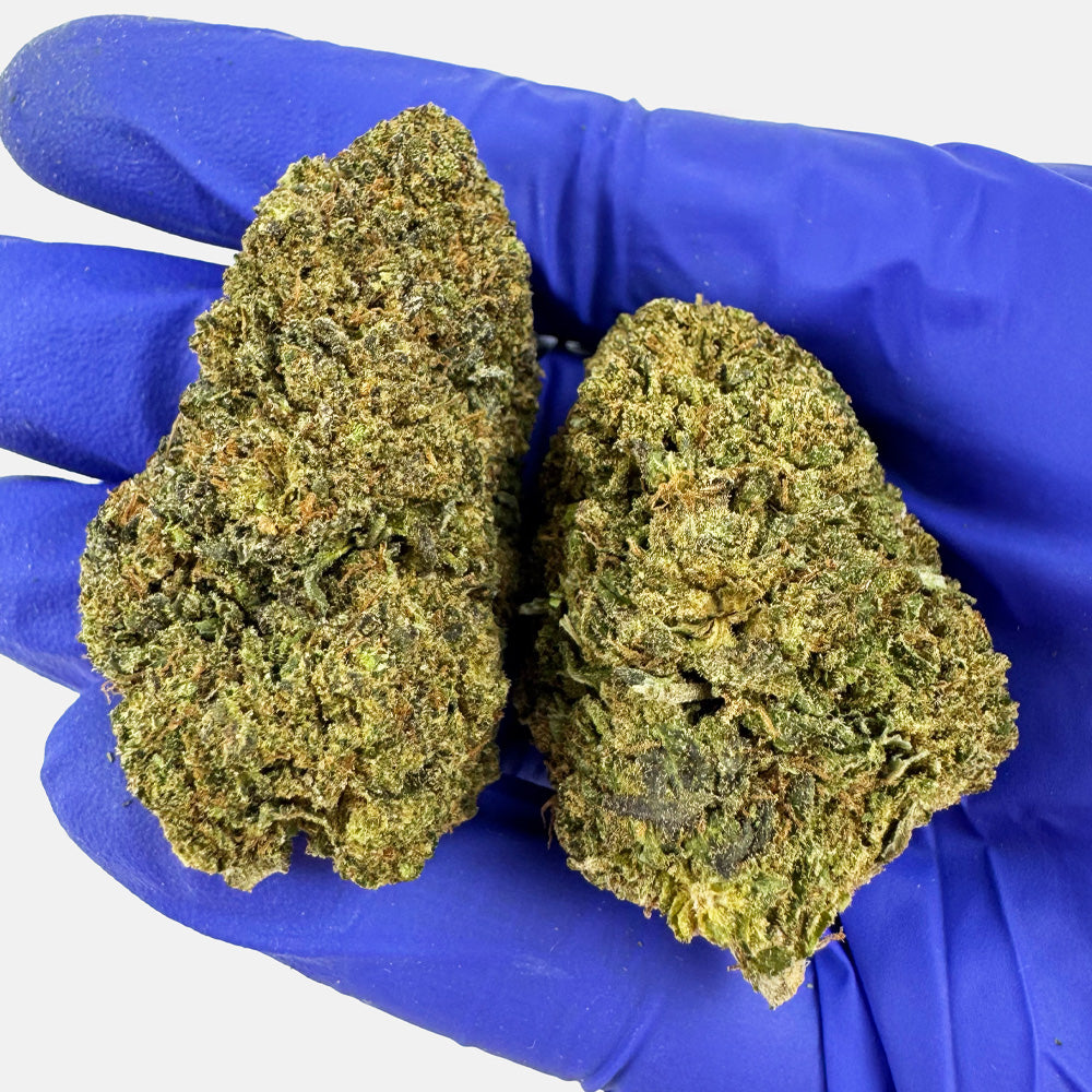 Royal OG - Híbrido EE. UU.