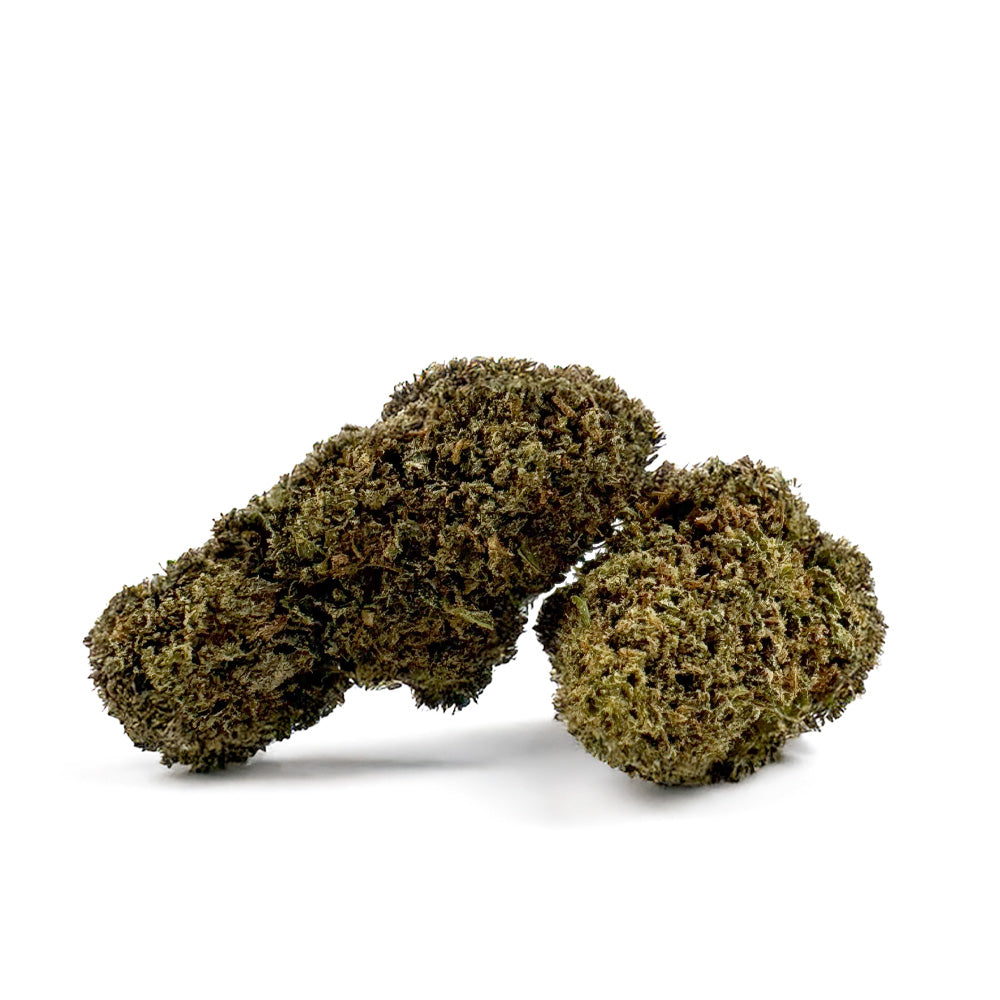 Skywalker – Indoor