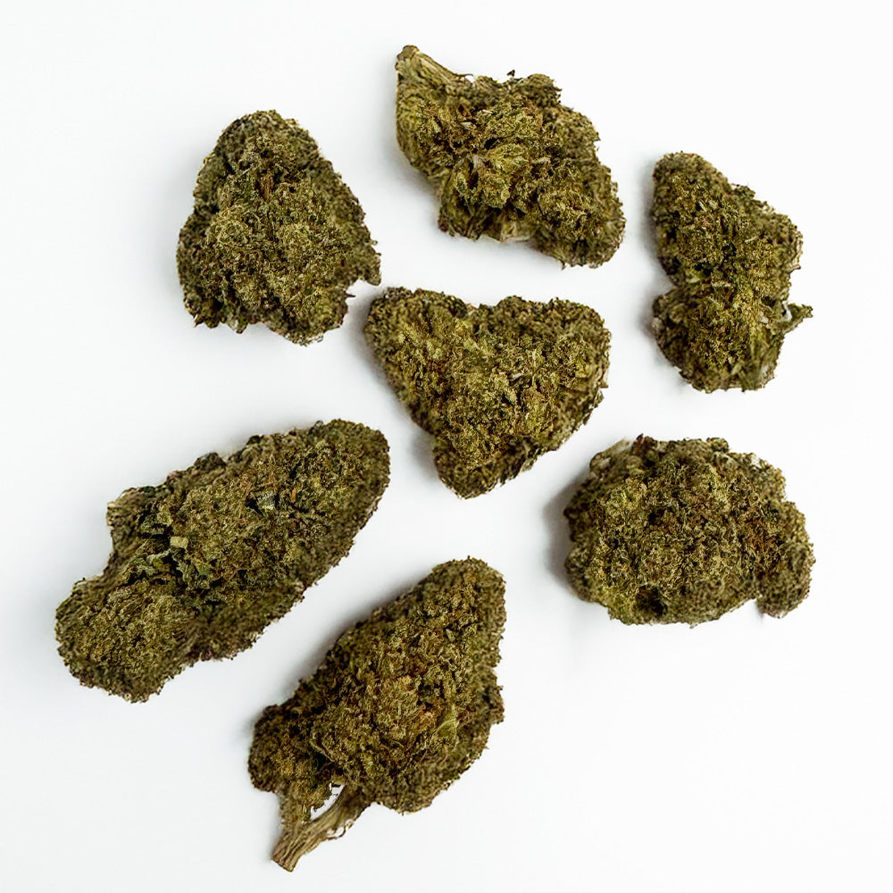 Skywalker – Indoor
