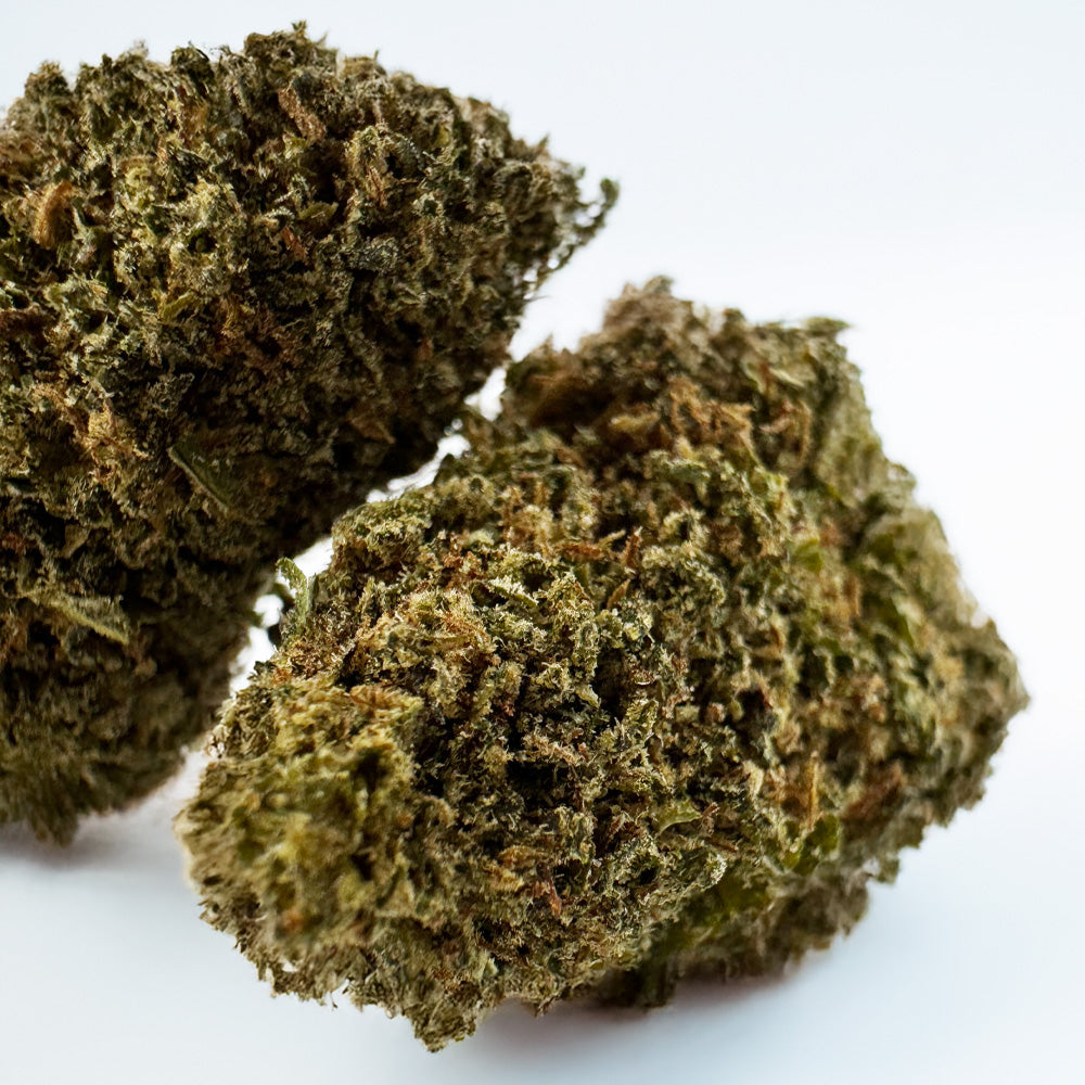 Skywalker – Indoor