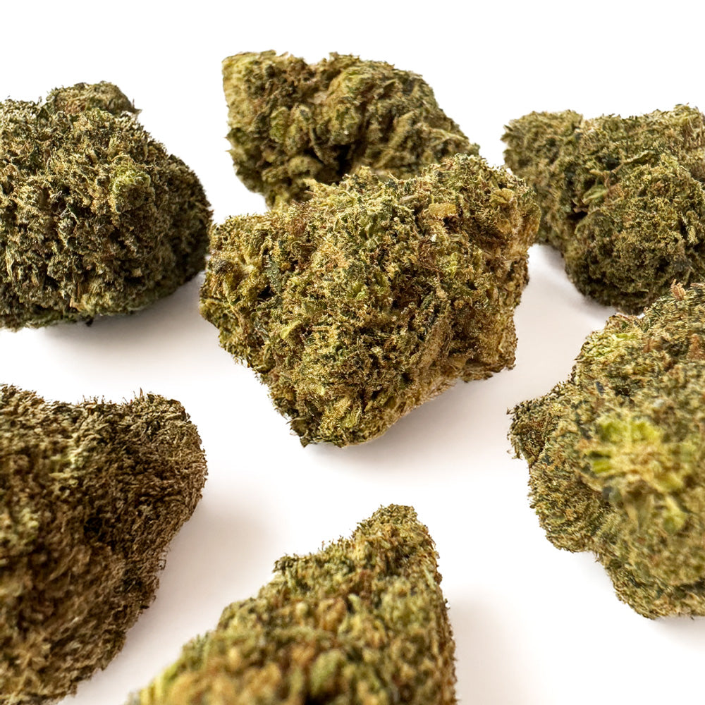 Skywalker – Indoor