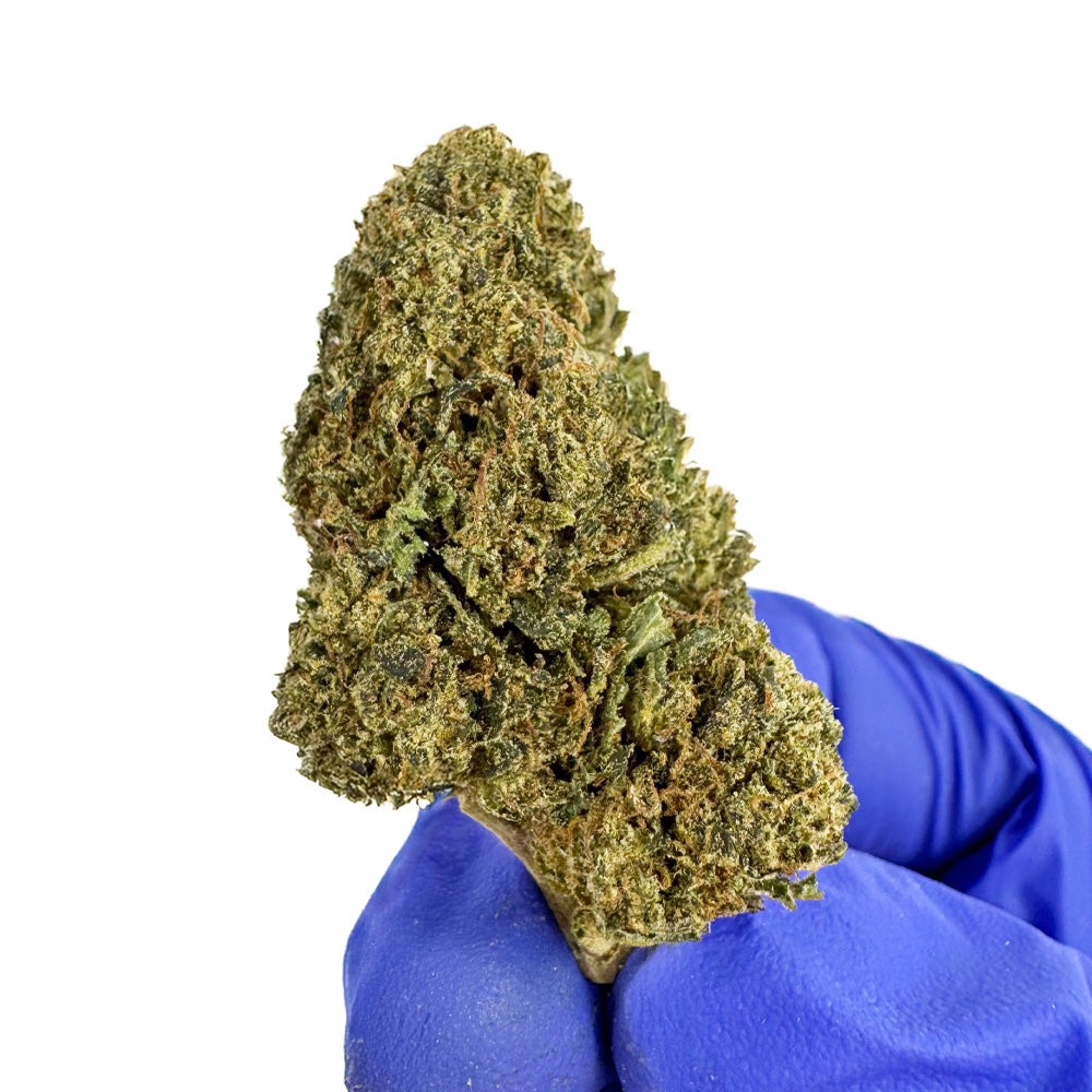 Skywalker – Indoor