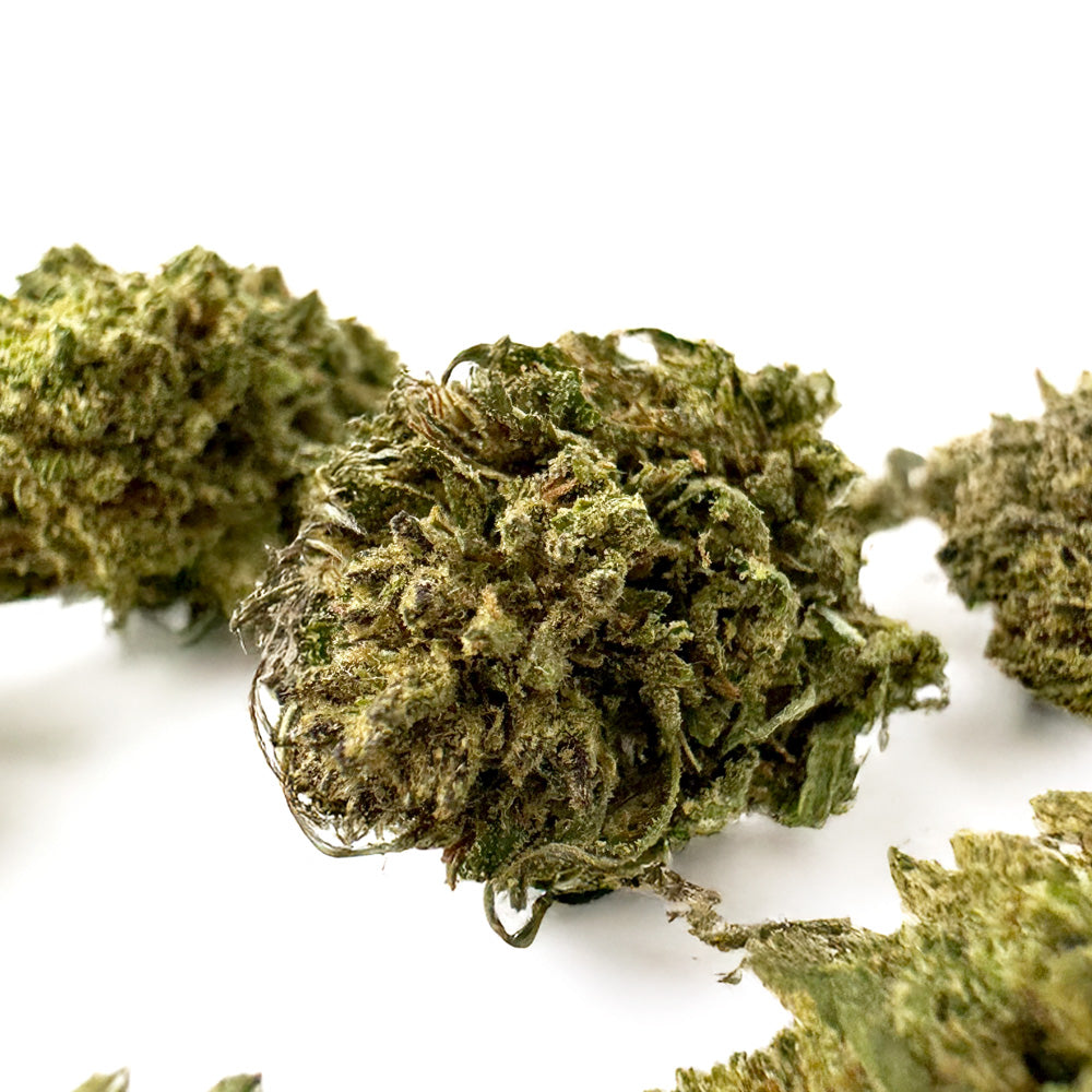 Small buds Candy Rain - Hybride — photo 2