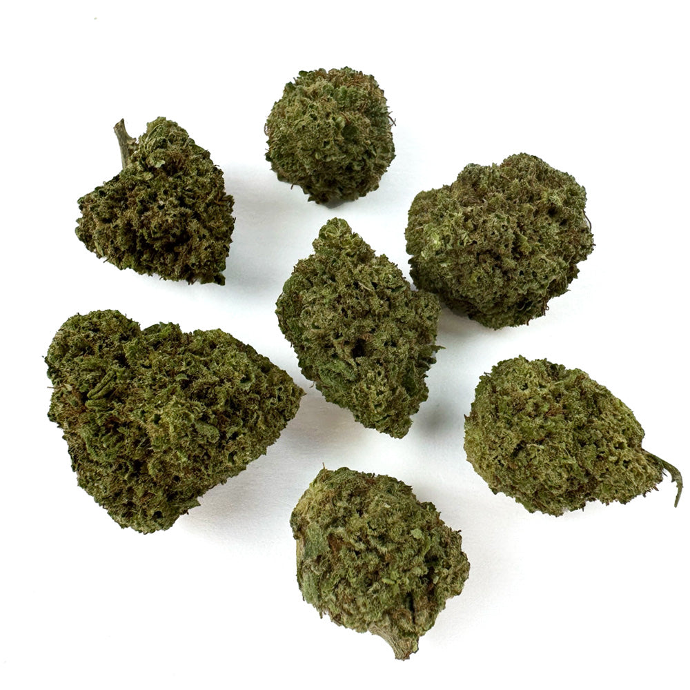 Small buds Fanta - Hybride — photo 1