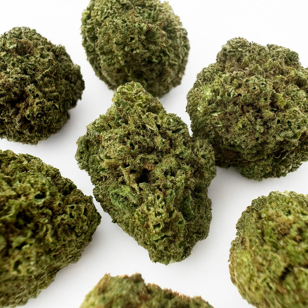 Small buds Fanta - Hybride — photo 2