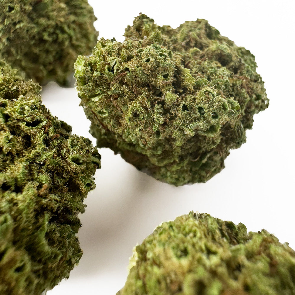 Small buds Fanta - Hybride — photo 3