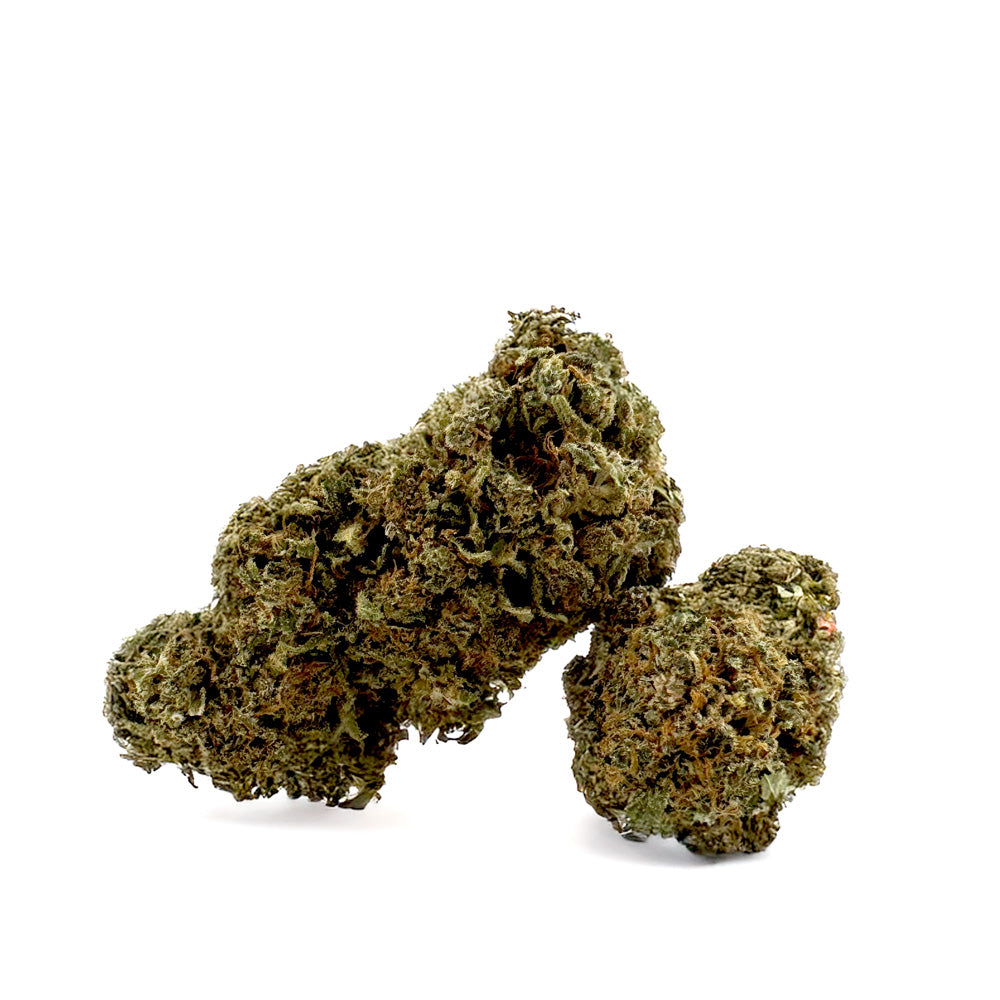 Strawberry Cough CBD – Indoor