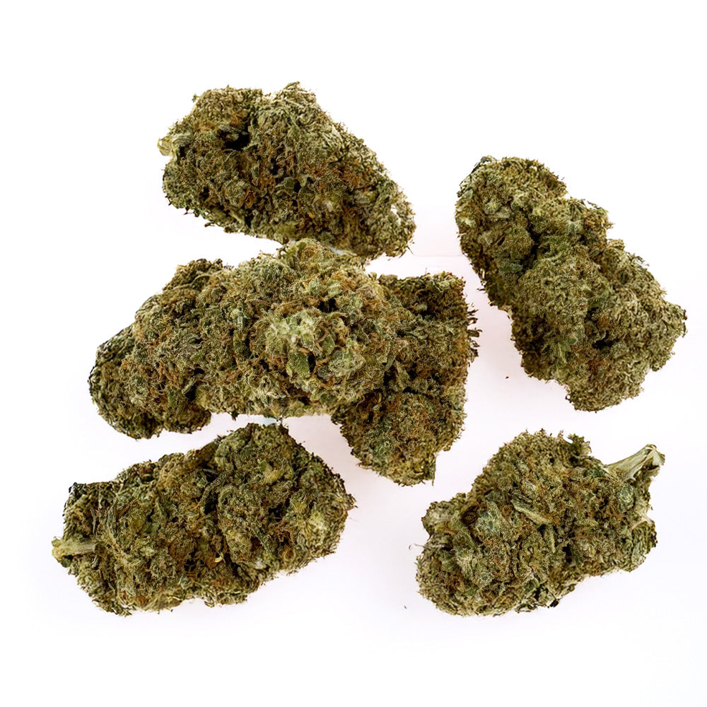 Strawberry Cough CBD - Indoor