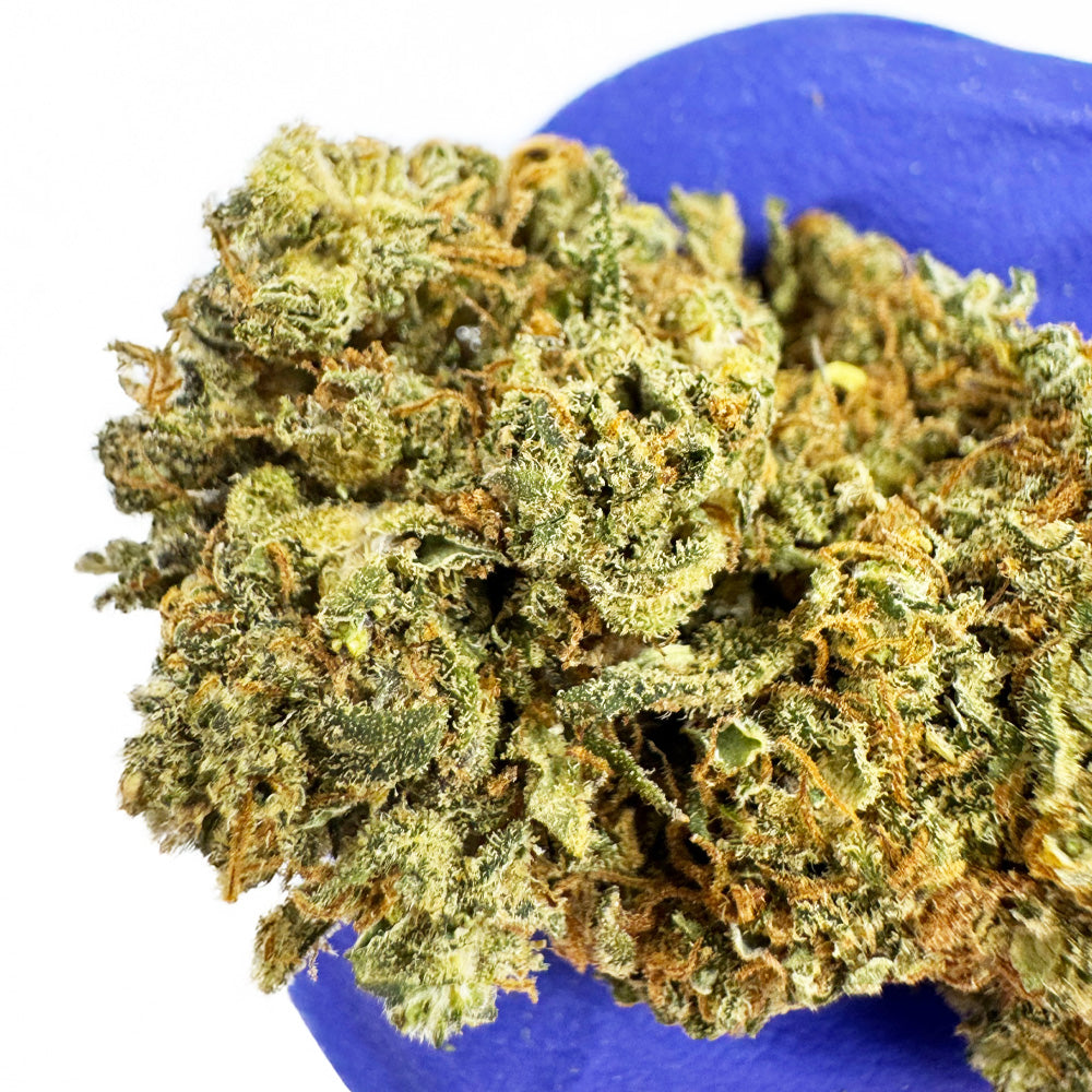 Strawberry Cough CBD – Indoor