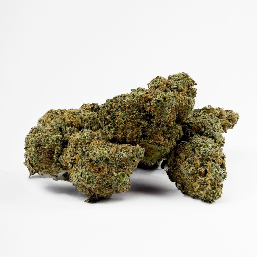 Sunset Sherbert CBD - Interior