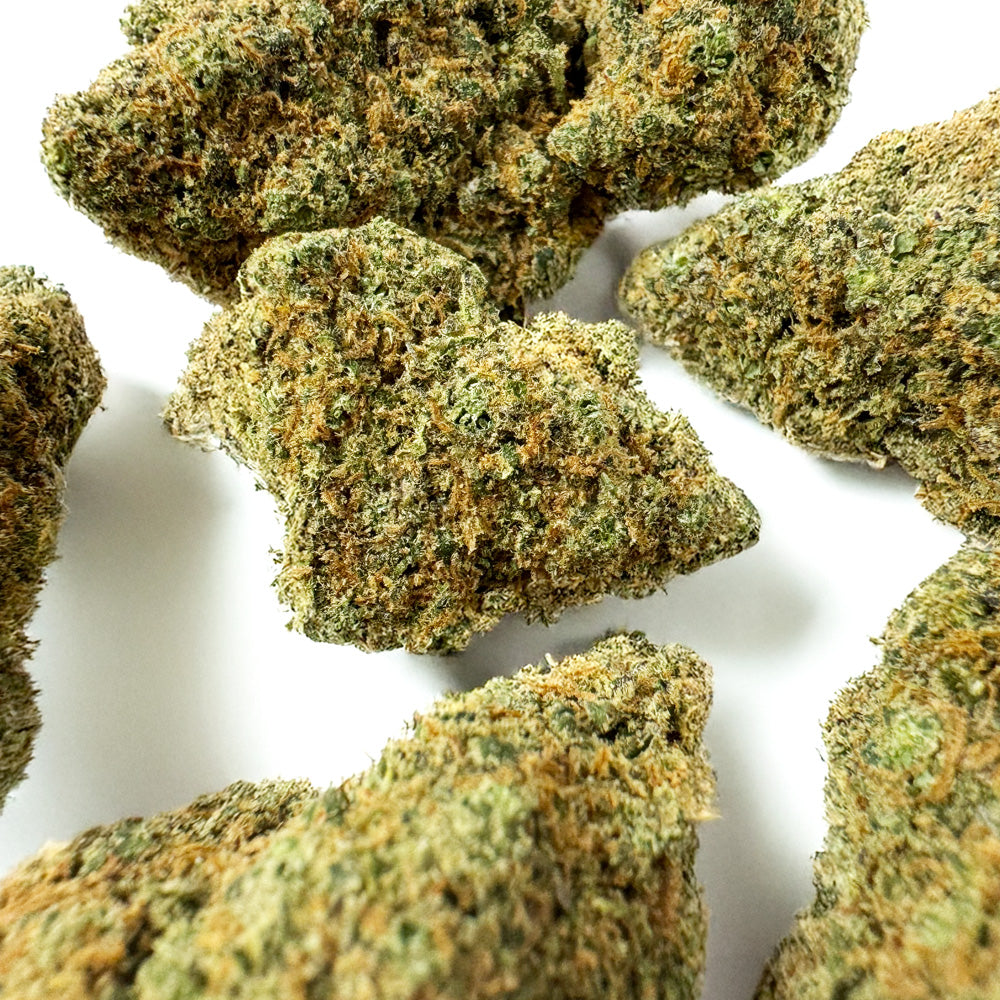 Sunset Sherbert CBD - Interior