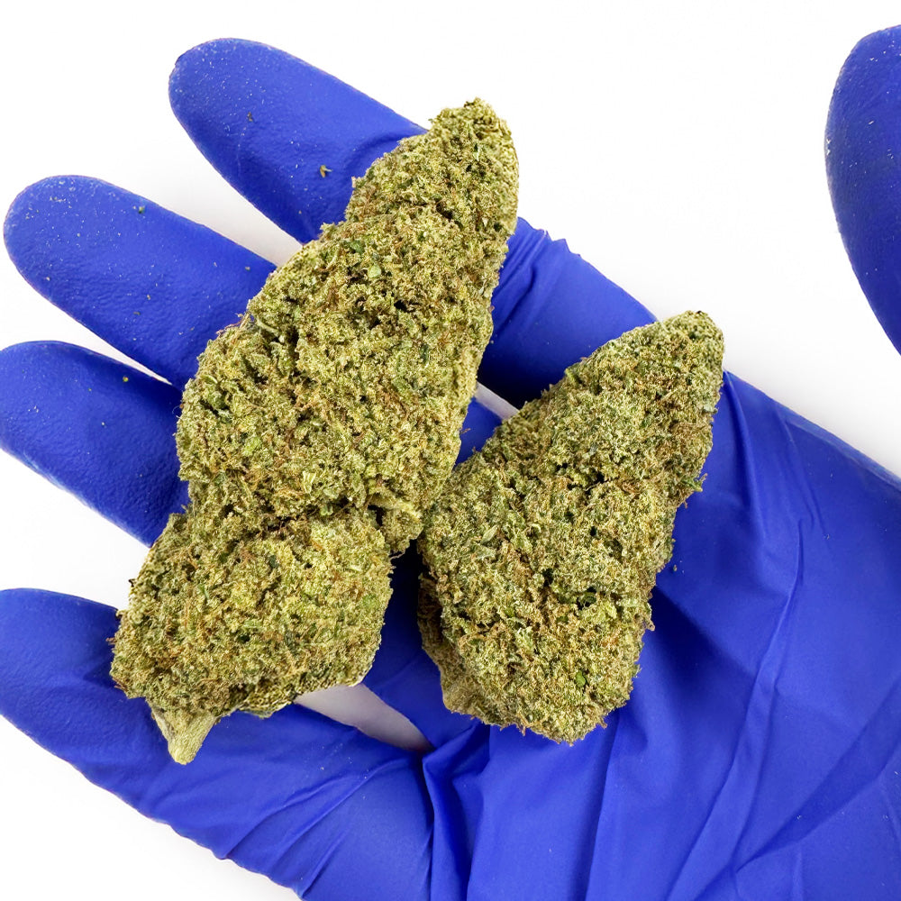 Chemdawg – Indoor USA — velkoobchod s CBD květy