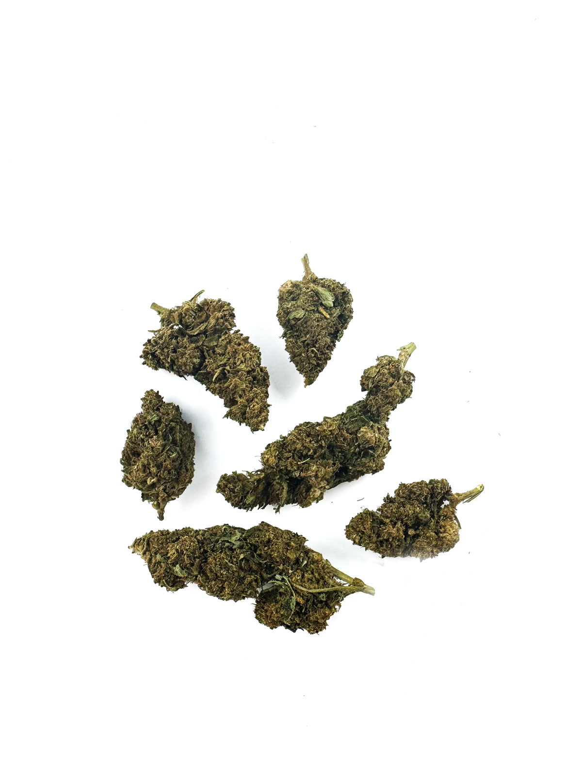 Super Skunk – Greenhouse — zdjęcie 3