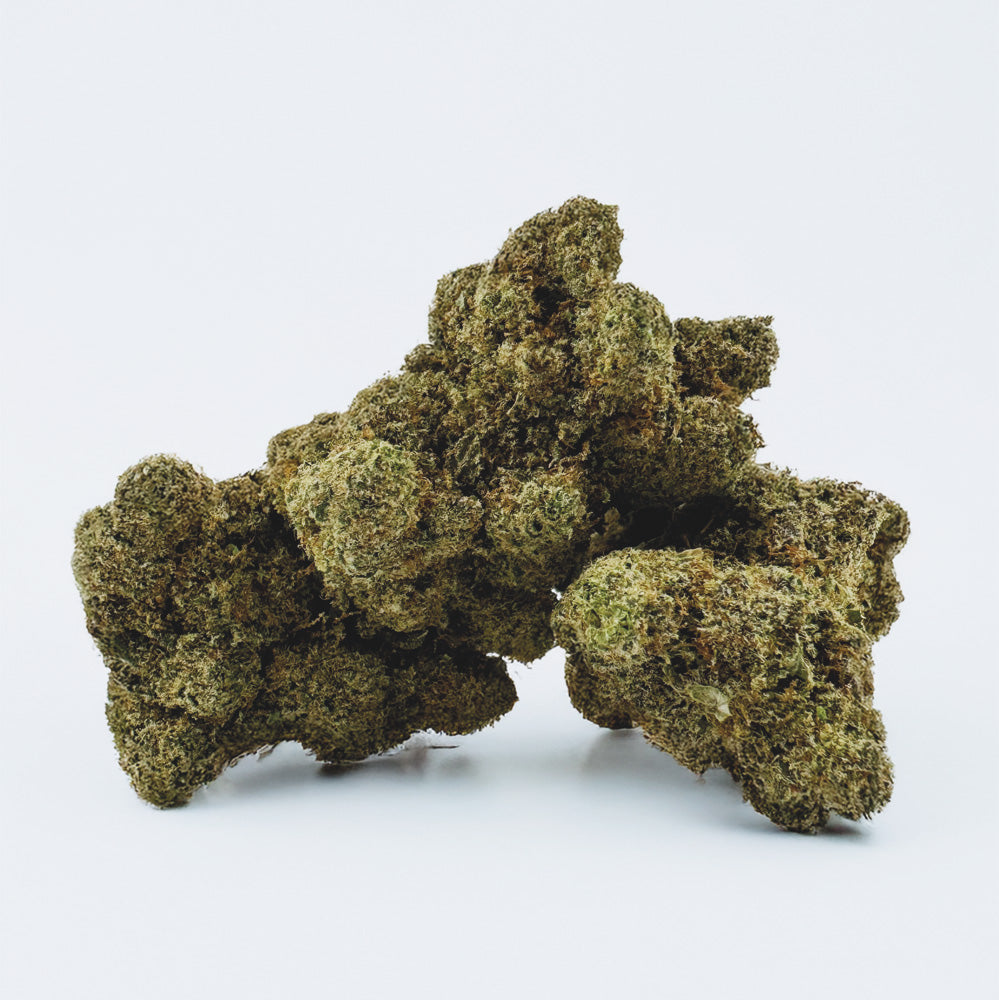 Watermelon CBD - Hidroponía Cali