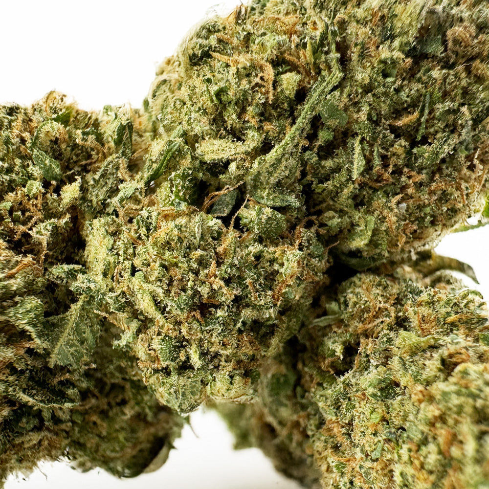 Wedding Cake HQxCT CBD - Interior